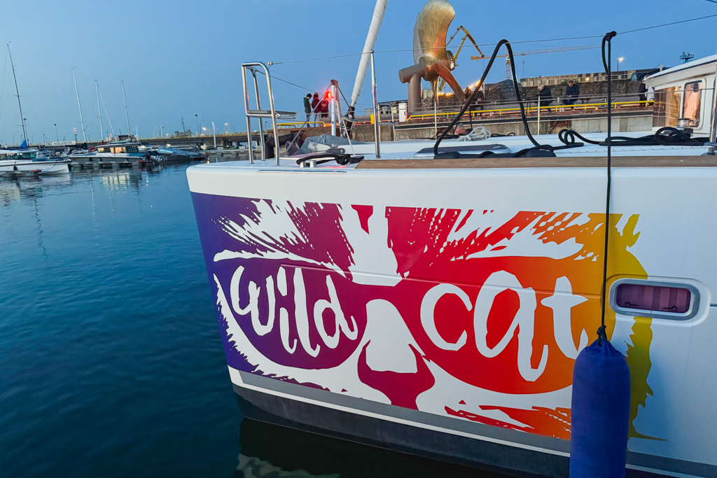 5sails_fleet_wild_cat